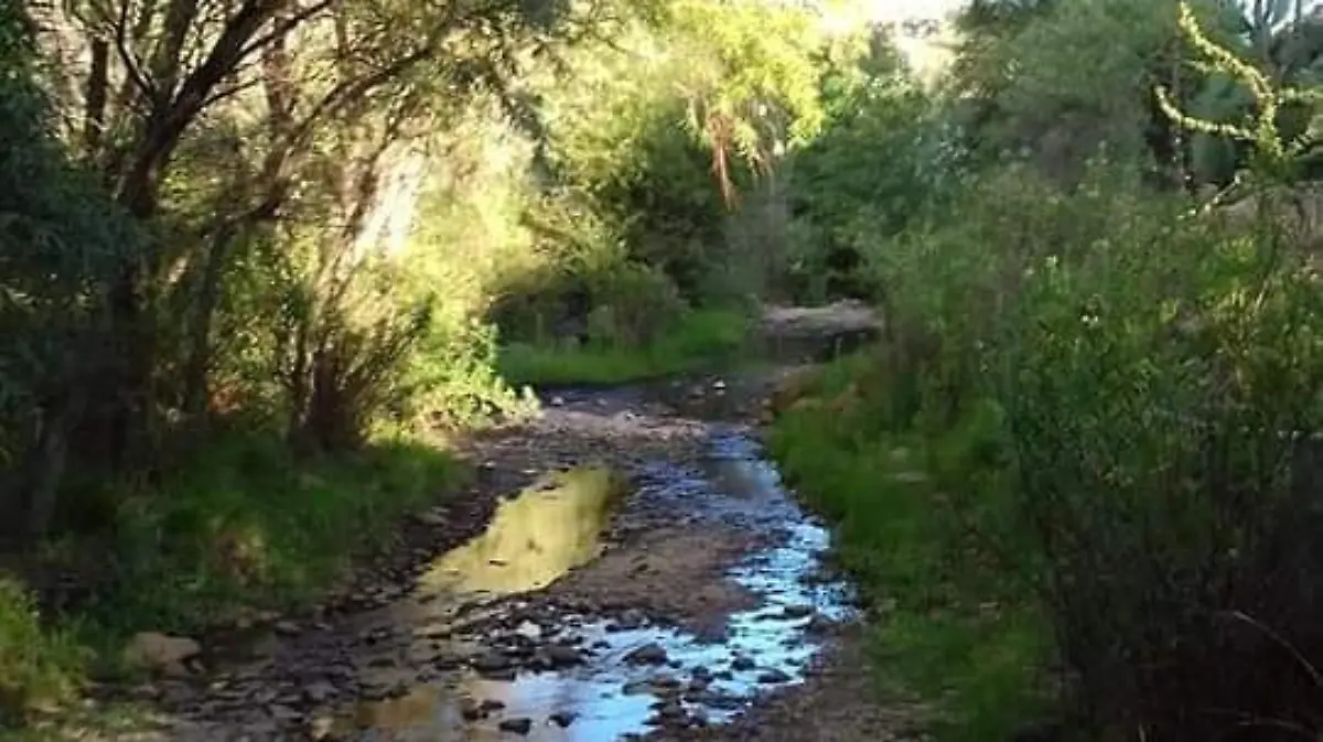 Area natural en gogorron