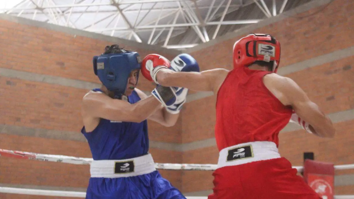 Torneo de Box,