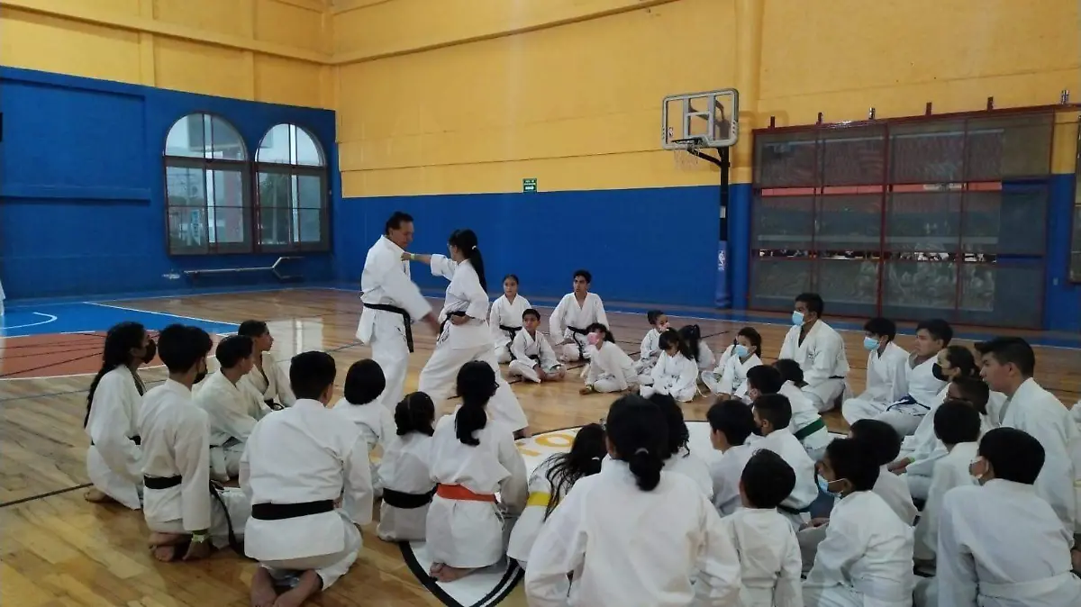 Karate Do Shotokan Ryu (2)