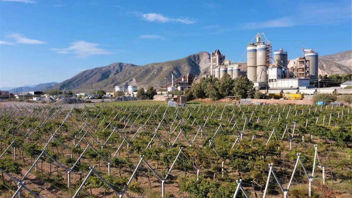 Se recupera el equilibrio ecológico en Torreón