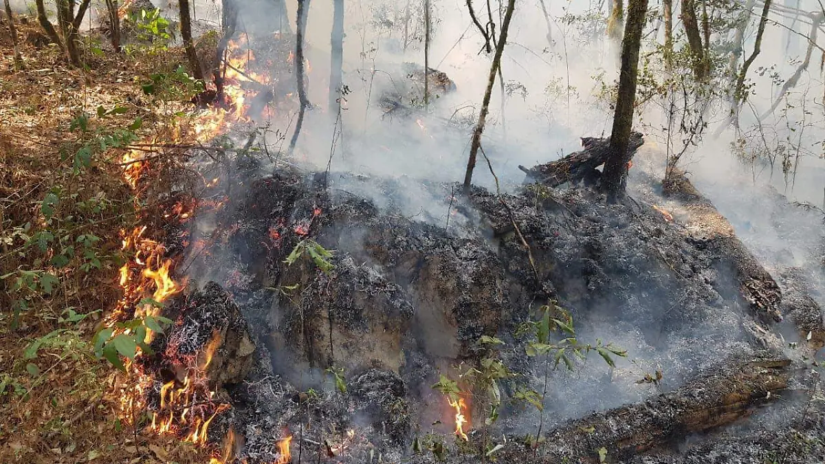 incendio incendios forestal forestales fuego lumbre bosque
