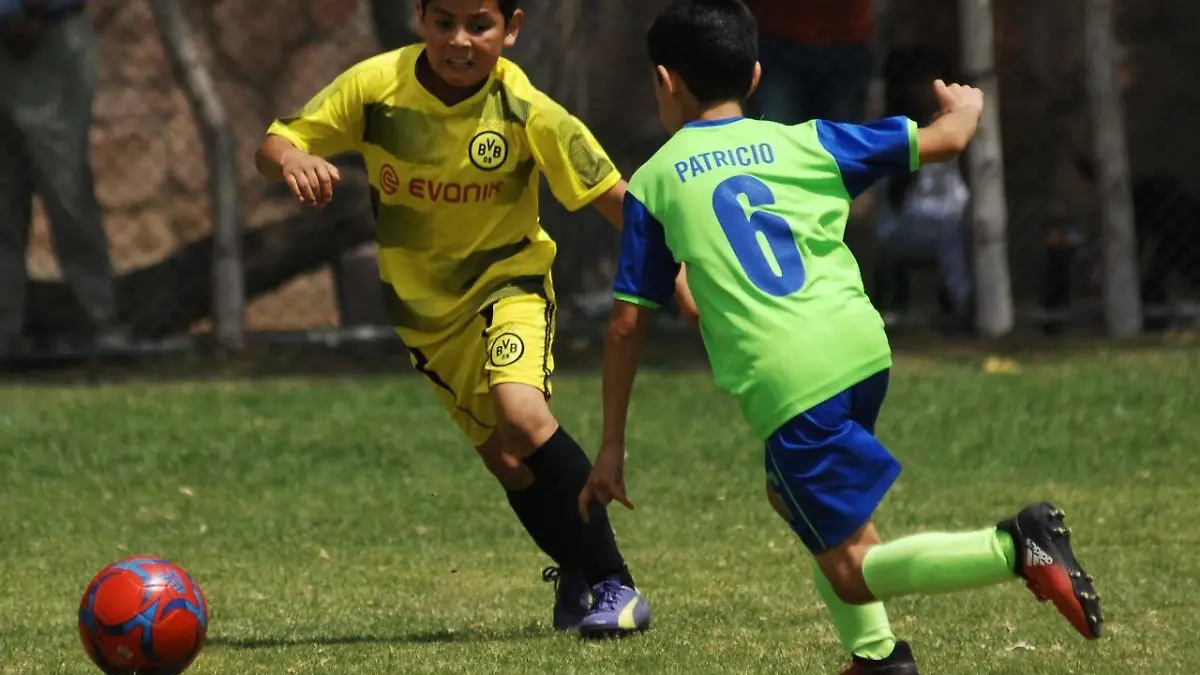 4d9b75af-91b0-4239-8f88-27fa86d15c1e