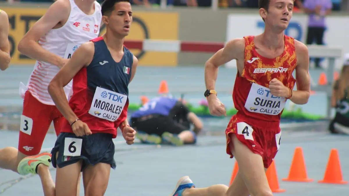 0bbb19c9-b77b-4687-9334-c37c38346261