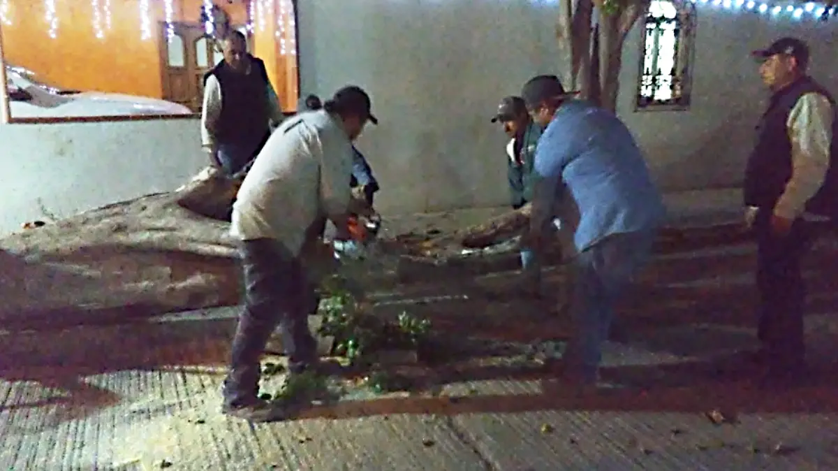 SERVICIOS MPALES 3