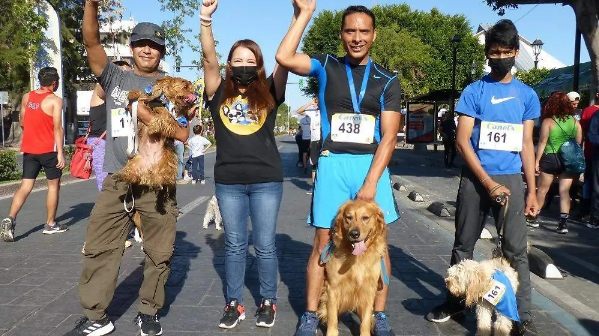 Camina con tu Canino 1