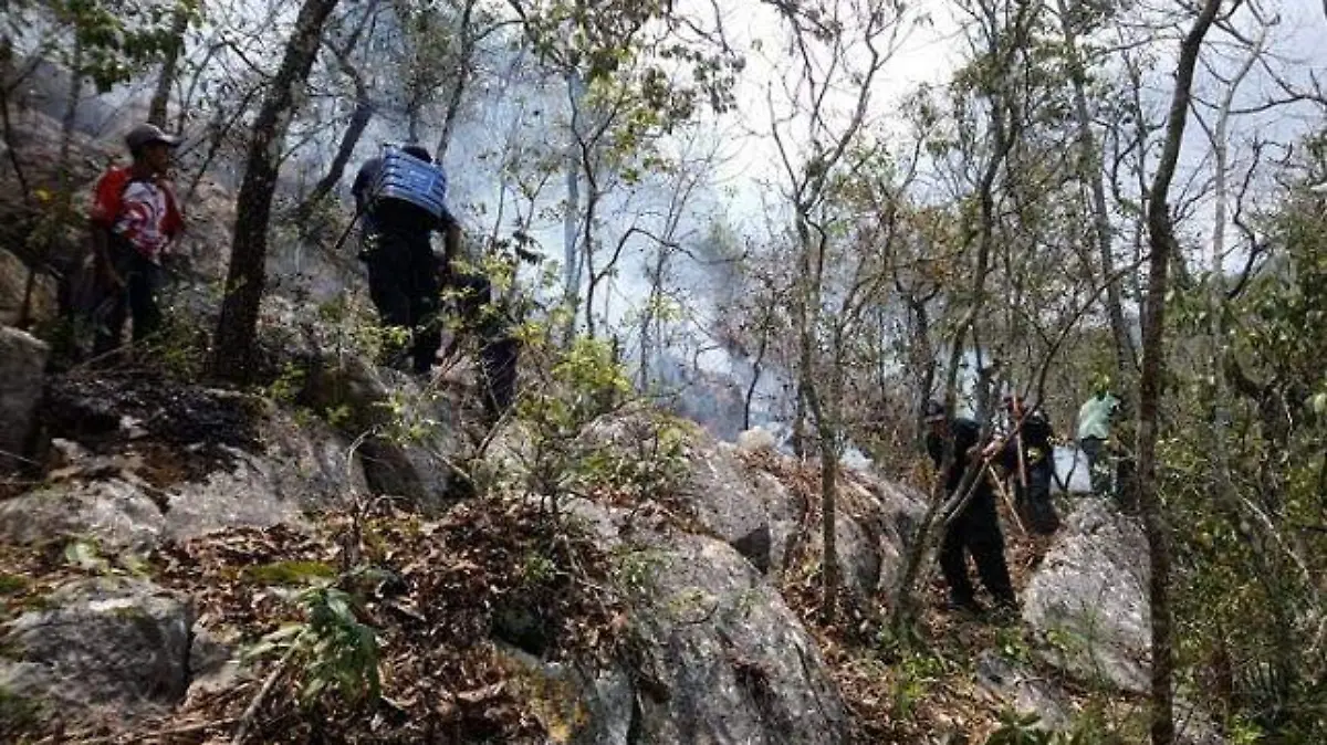 incendios