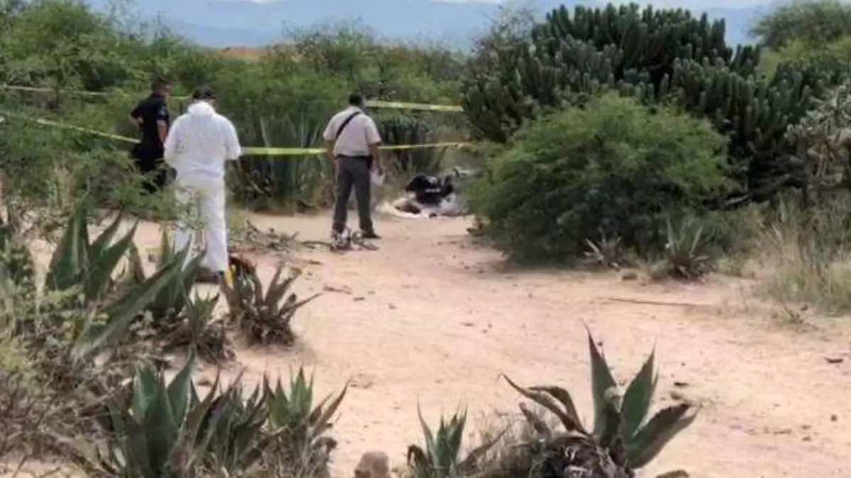 muerto