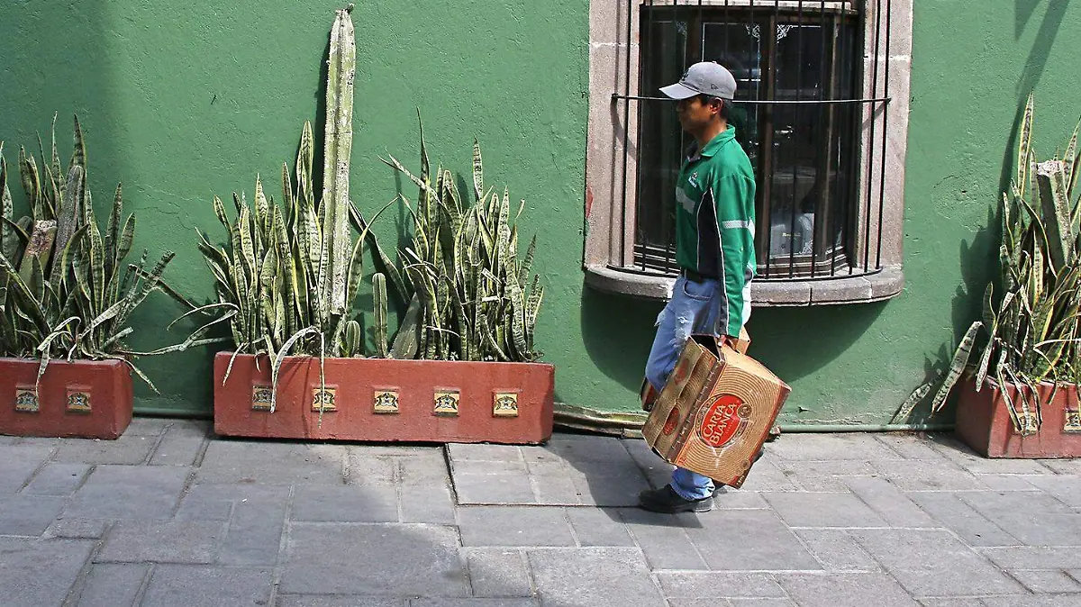 cerveza