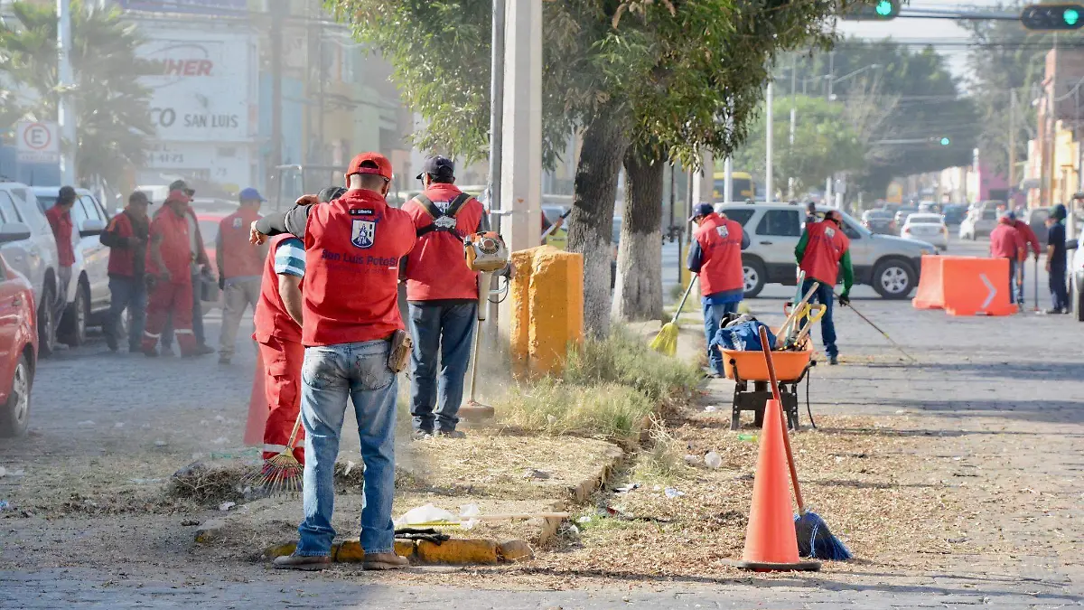 manita de gato en eje vial (2)