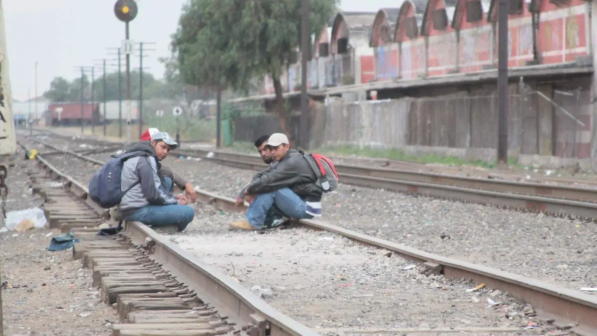 Migrantes  (3)