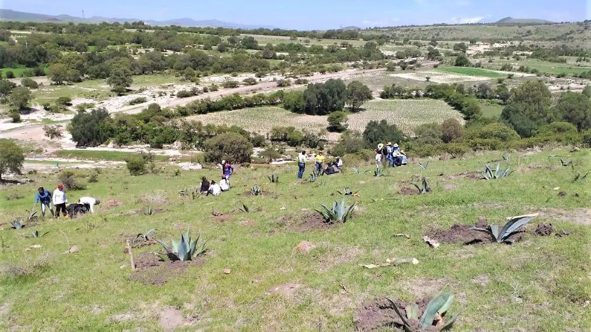 Capacitación para proteger el ambiente
