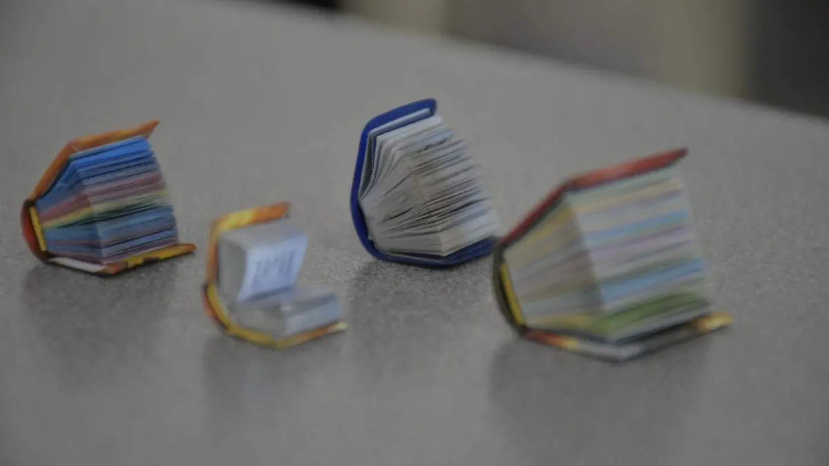 biblioteca bibliotecario  (12)