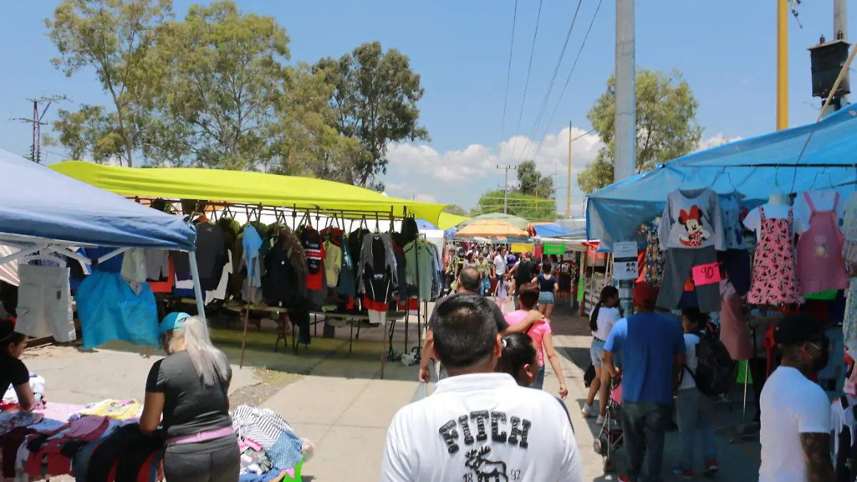 tianguis las vias (8)
