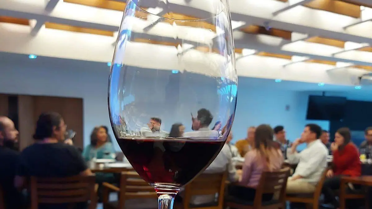 Cultura del vino (7)
