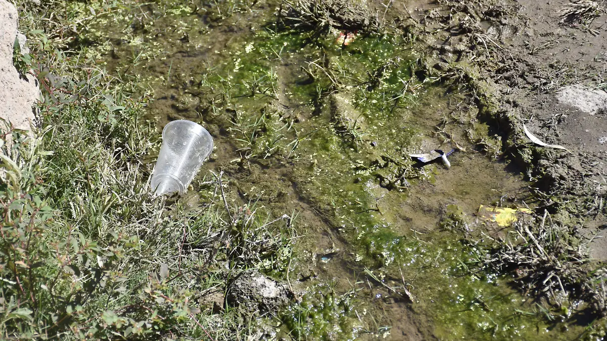 agua sucia agua contaminada dengue Dengue contaminación basura