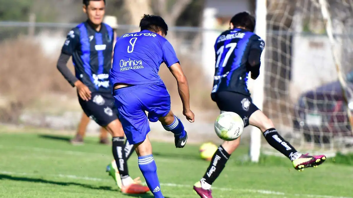 30661393-3793-40e1-bbda-311085f3e821