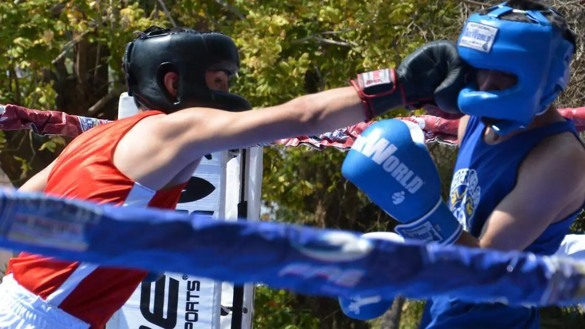 851cef2c-fe51-4ac9-9acc-c38cc5c00d0e