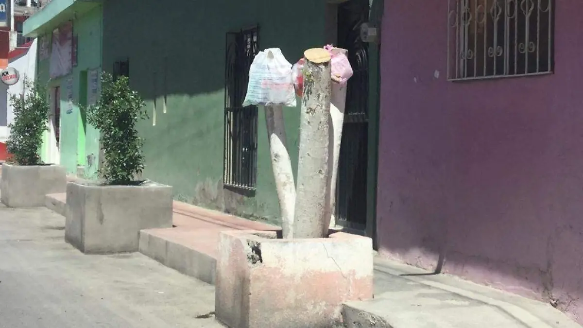 Arboles  son utilizados