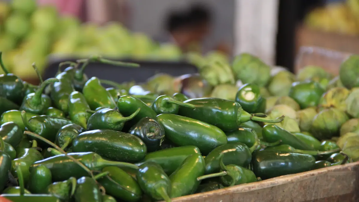 Chile serrano chile verde 