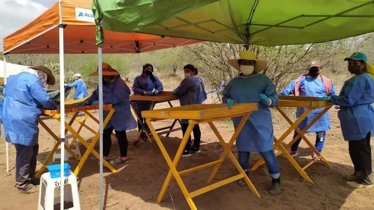 Grupos de búsqueda de desaparecidos