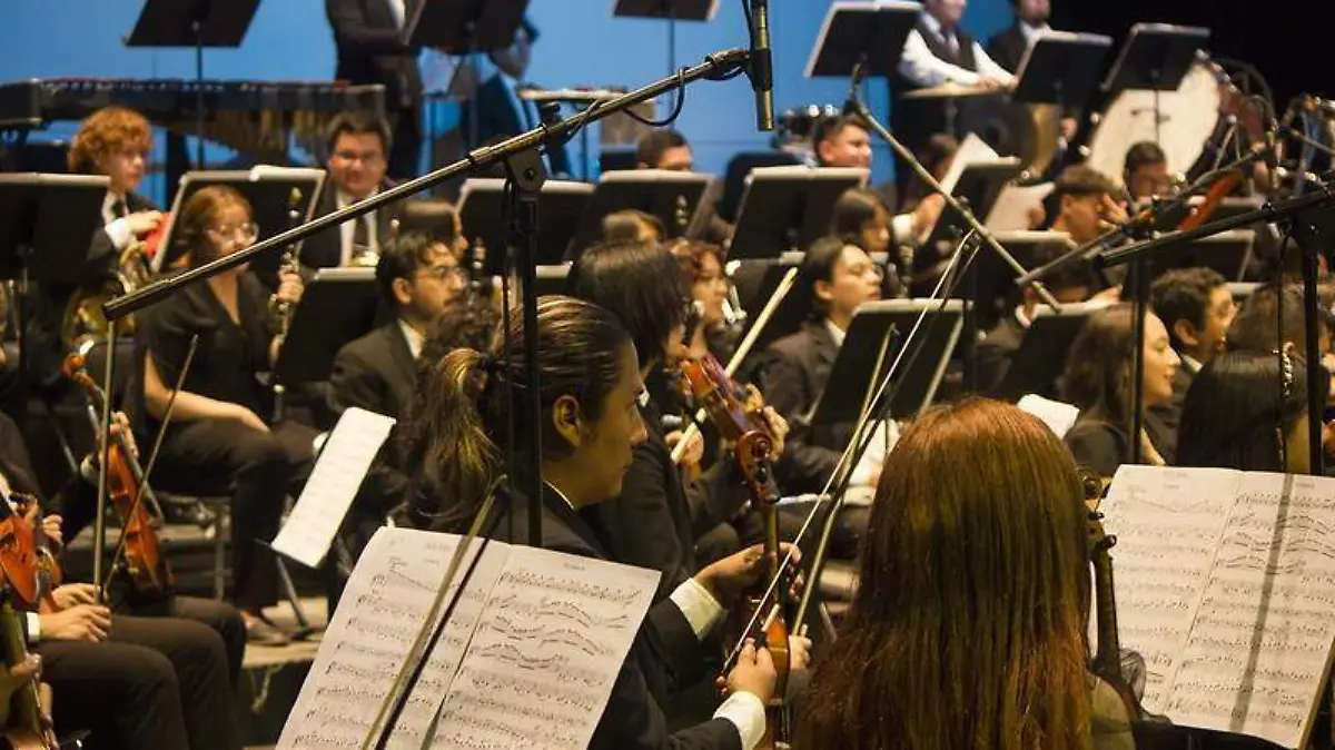 Orquesta Sinfonica (2)