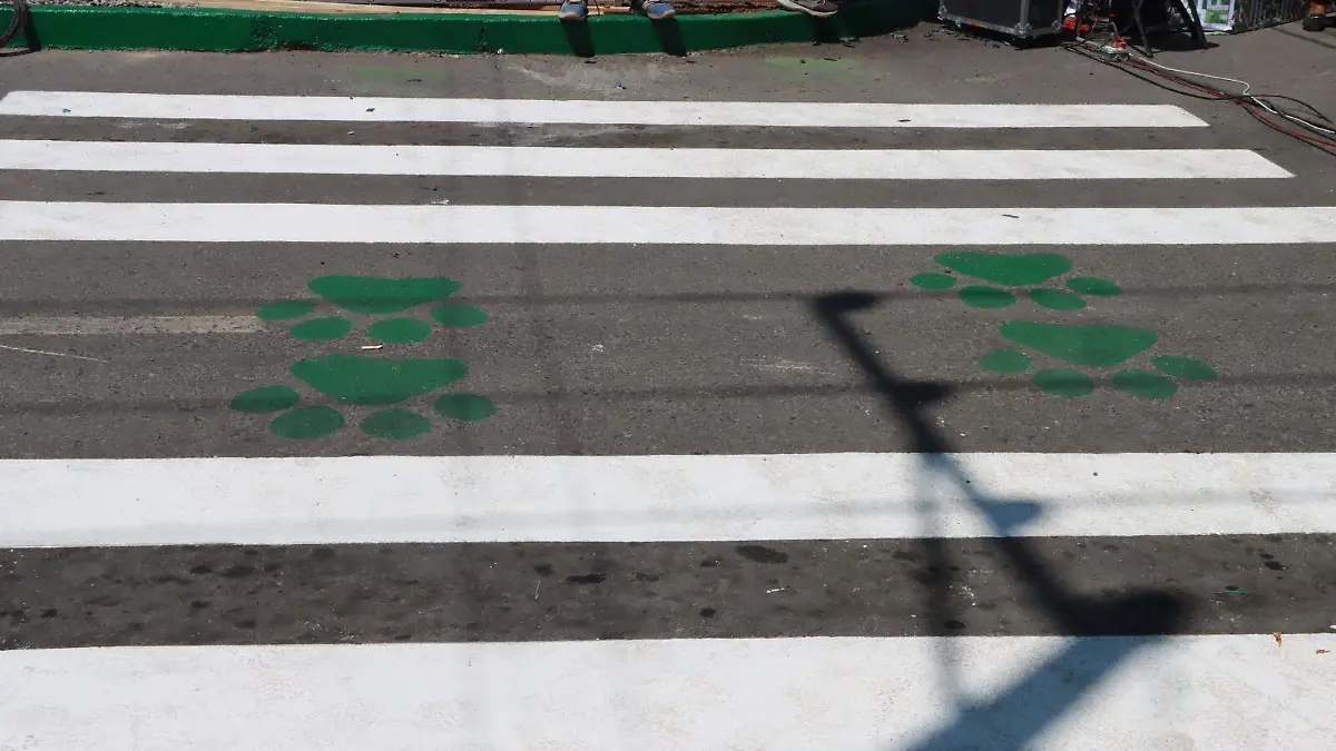 Obras Seduvop CR (4)