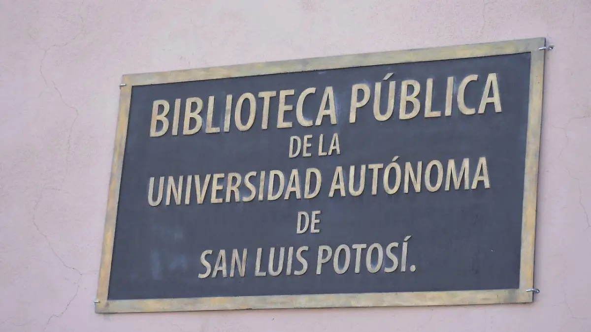 biblioteca bibliotecario  (22)