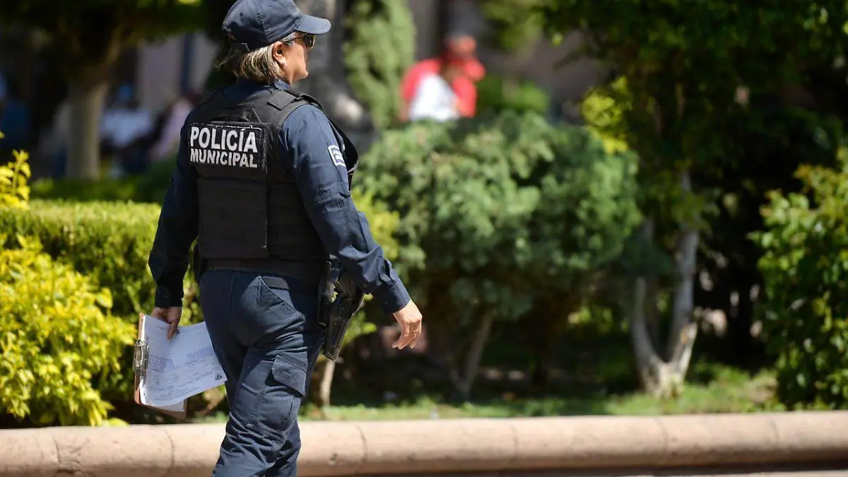 Policía, elemento (3)