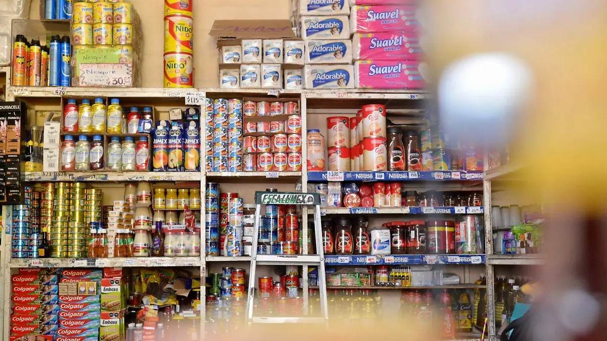 abarrotes los gueros  (3)