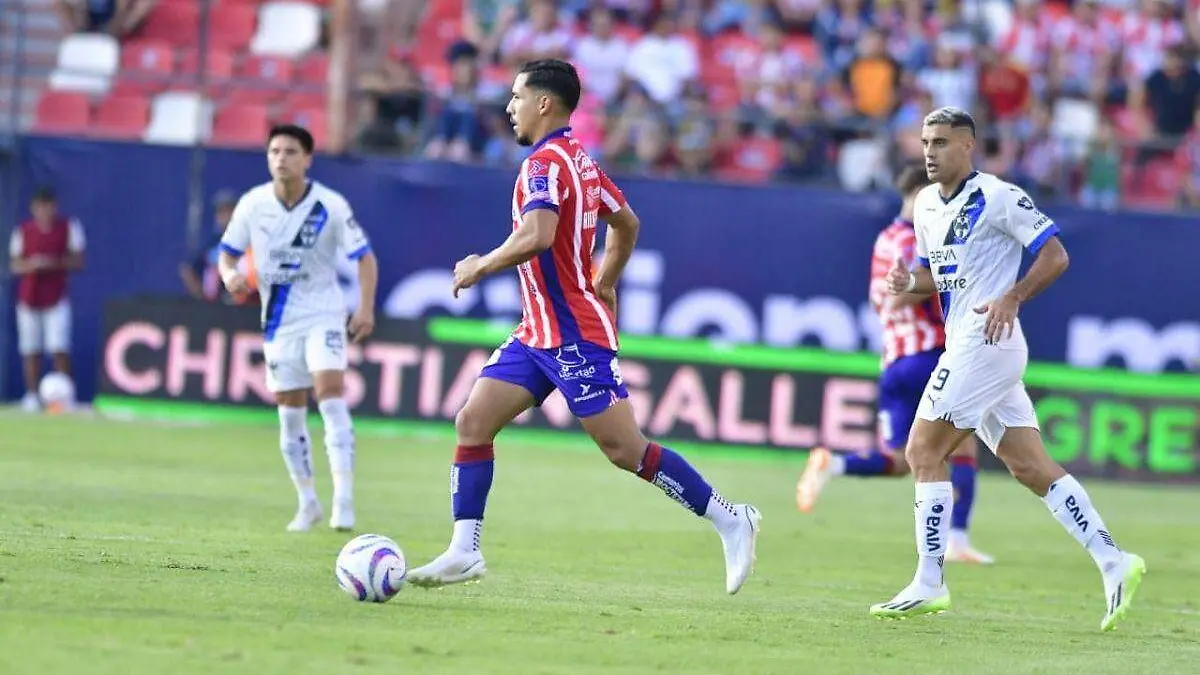 Plantilla - 2023-07-01T190719.950