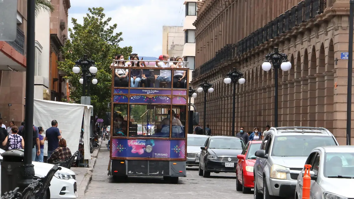 turibus (8)
