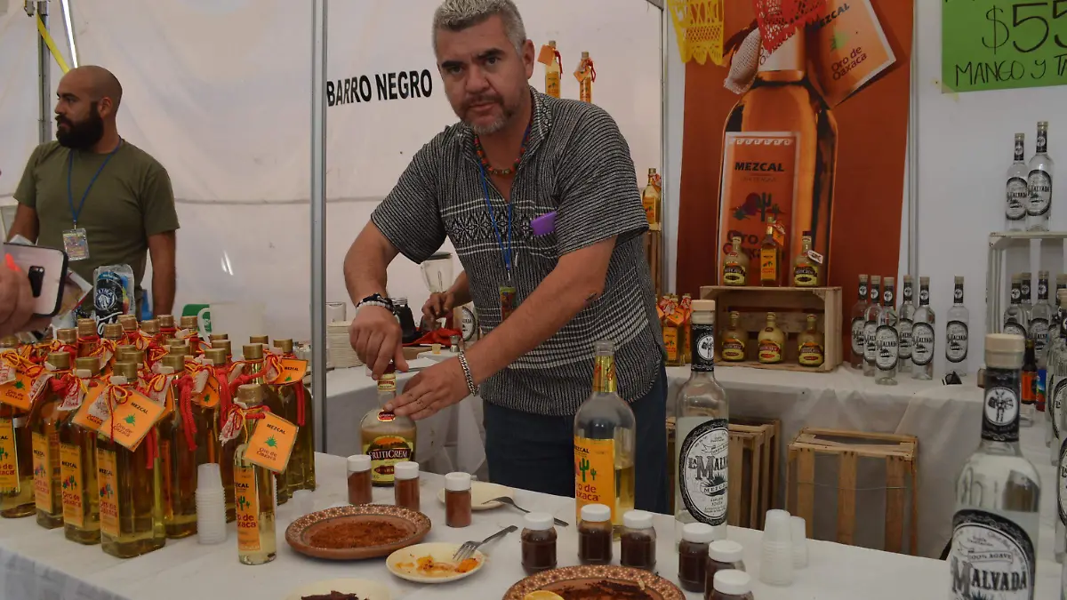 Vive Oaxaca en San Luis Potosí DSC_0645