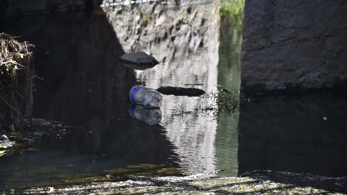 agua sucia agua contaminada dengue Dengue contaminación basura