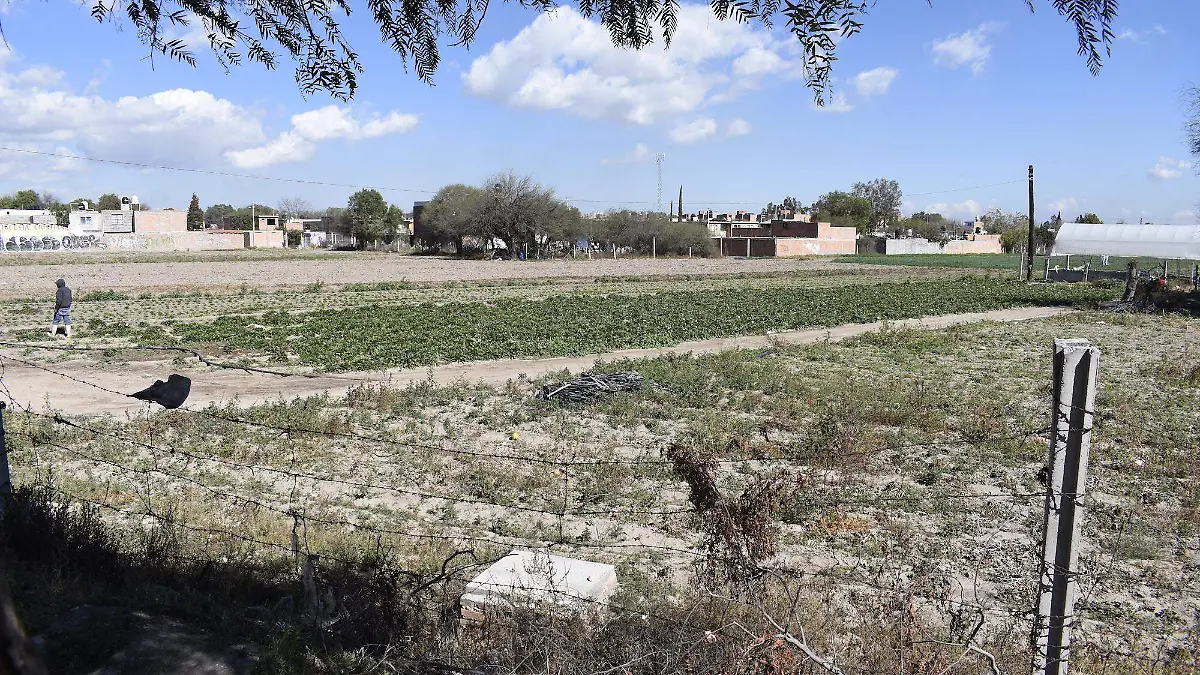 AgriculturaYSequia_ACO-01