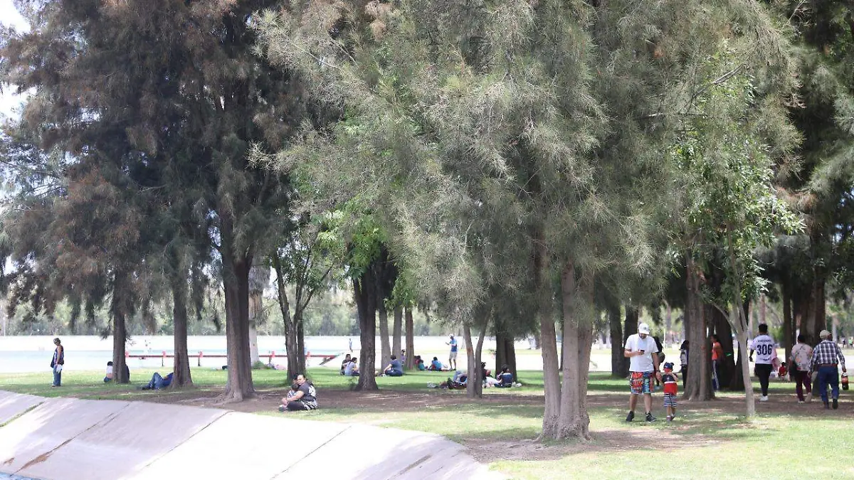 daf58a46-a1a4-49ff-b2f4-43db24a13c04