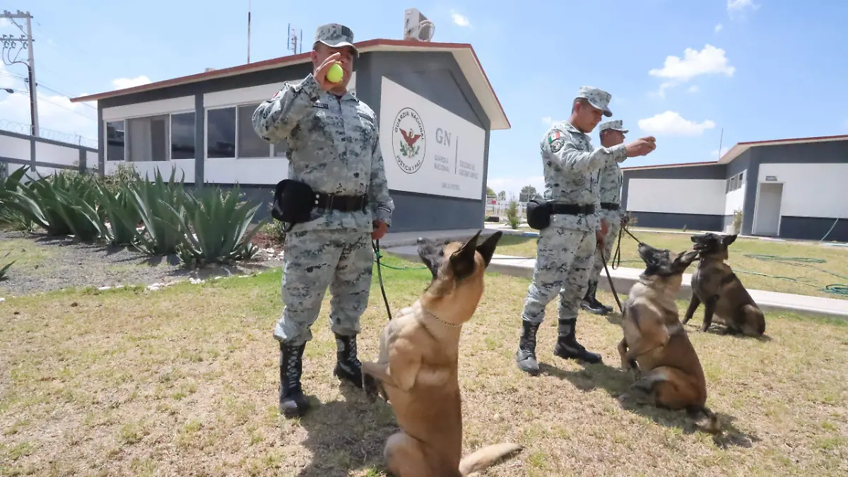 BINOMIO CANINO CR (5)