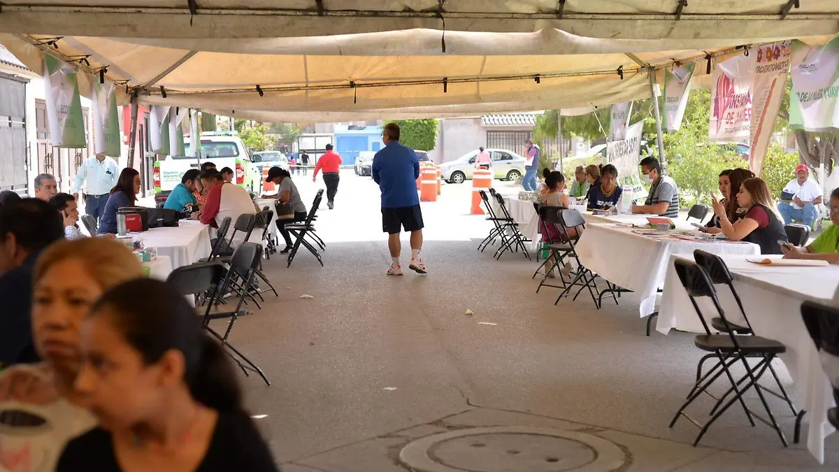 Martes ciudadana (1)