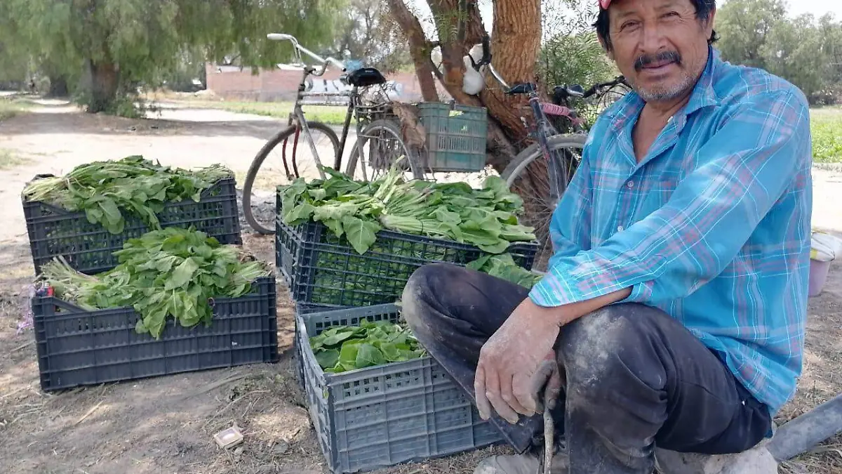 Don Gerardo lamenta desaparición de parcelas en Soledad