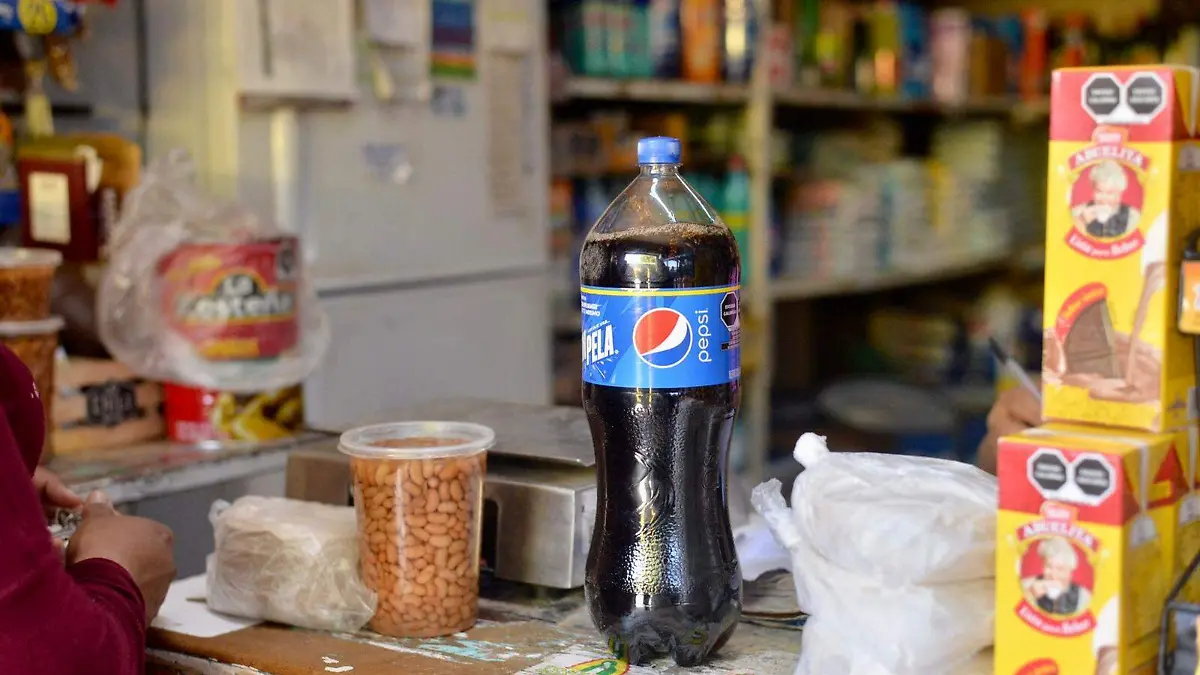 abarrotes los gueros  (9)