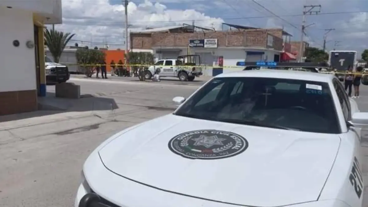 397b5d57-2210-4927-8c04-46ddb169946f