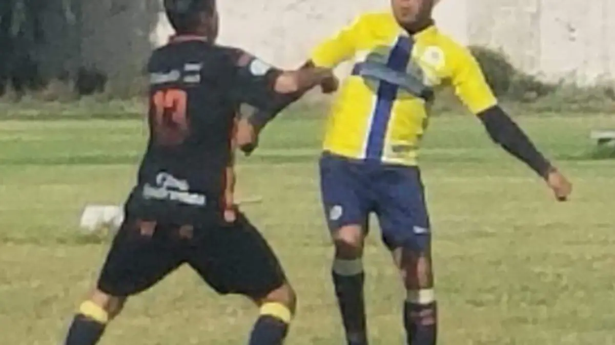 8b2a7d14-94bd-4f86-8caa-56b8b37120ee