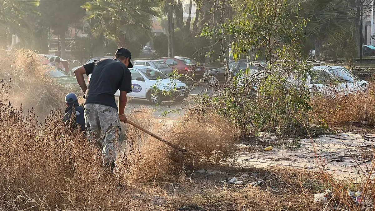 Continúa limpieza de baldíos gob mpal 3