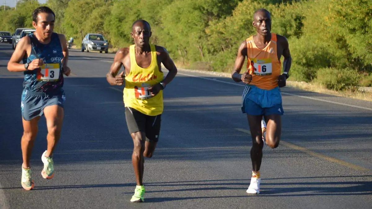 74b74d15-3576-44b1-86ee-79ca529ae3cf