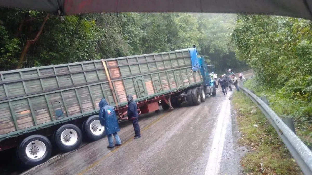 trailer accidentes viales