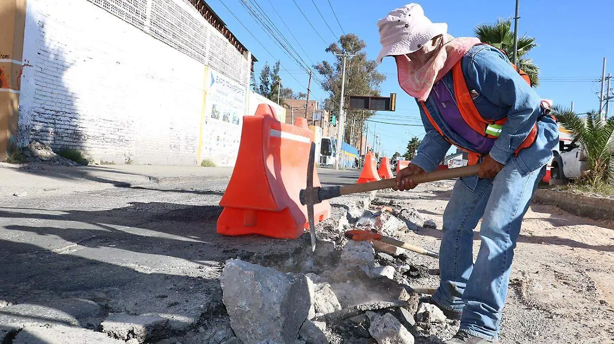 BACHEO 4