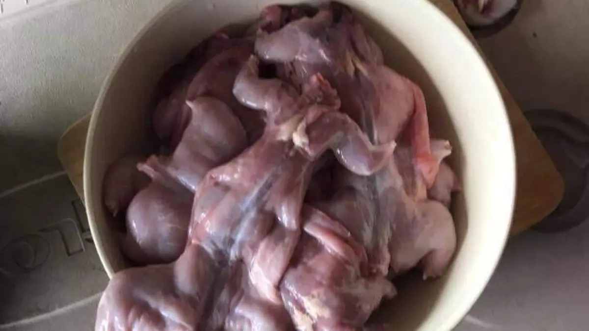 Preparación del Caldo de Rata