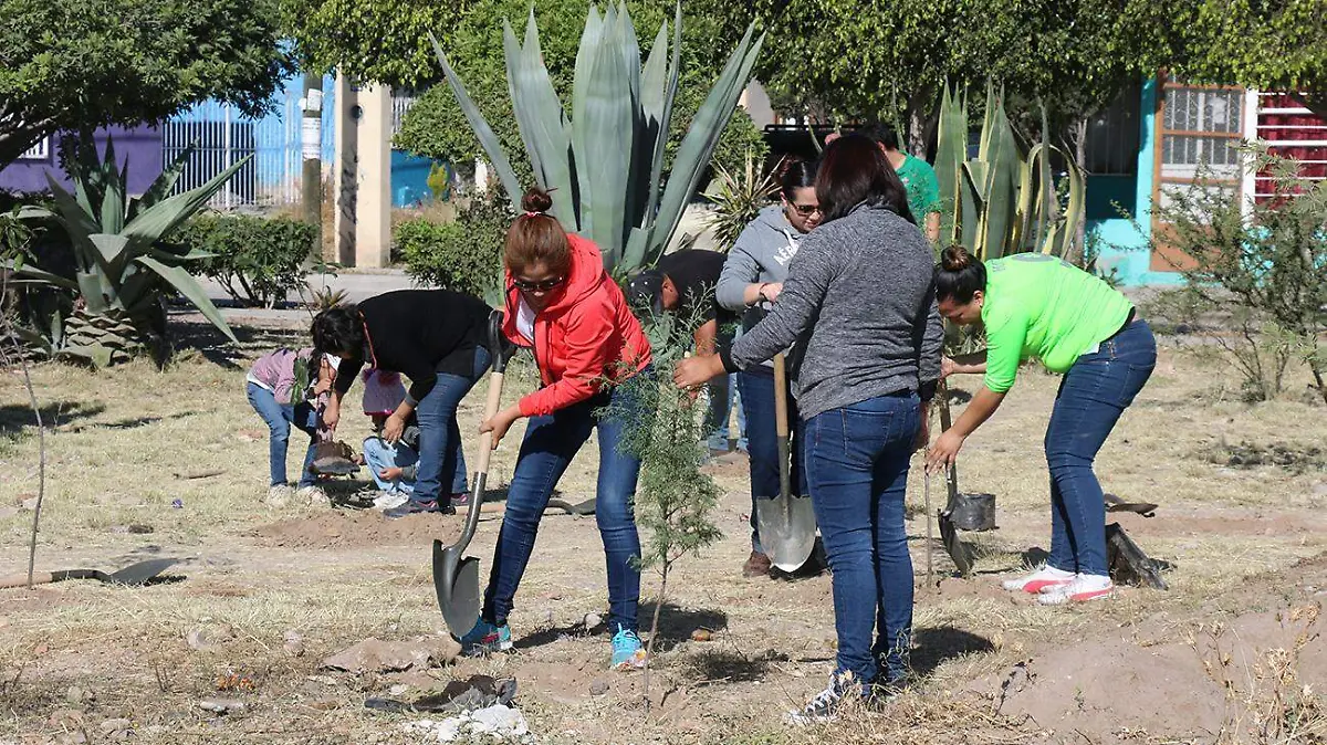 reforestacion plantan aroboles SLP