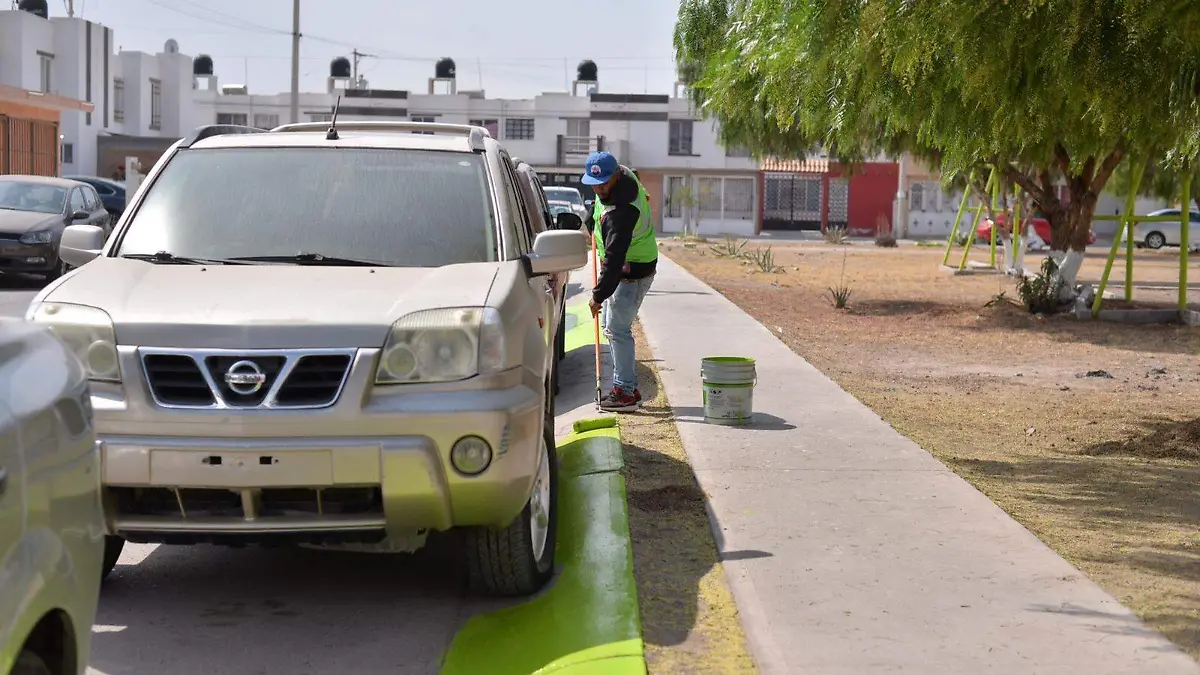 Martes ciudadana (2)
