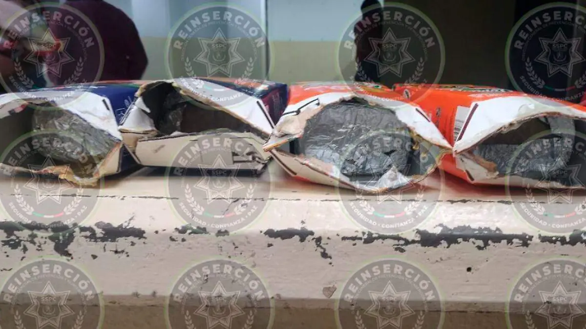 Fueron descubiertos los bloques de marihuana