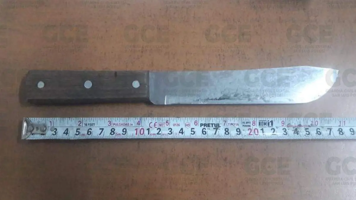 d8d62941-b8da-4517-9369-7ec567367d2b